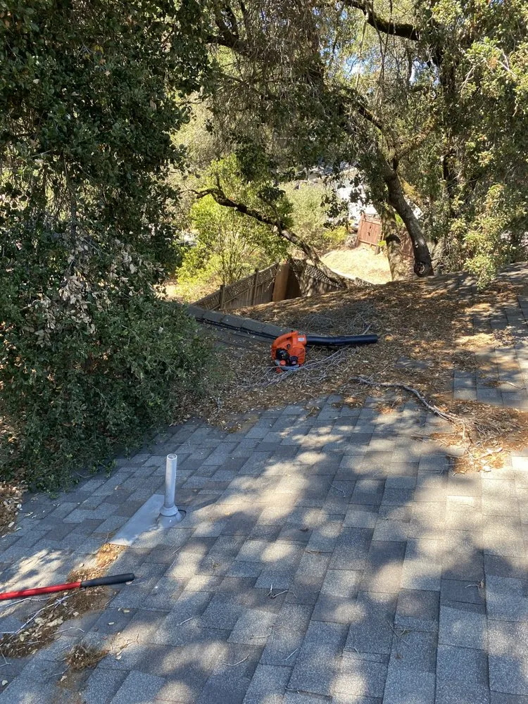 Trusted landscaping services for outdoor upgrades in Watsonville, CA by La Villita Landscaping