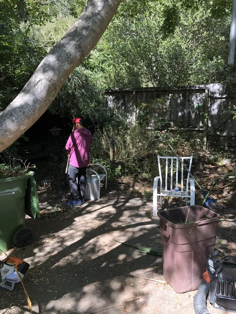 Reliable landscape installation for beautiful yards in Watsonville, CA by La Villita Landscaping