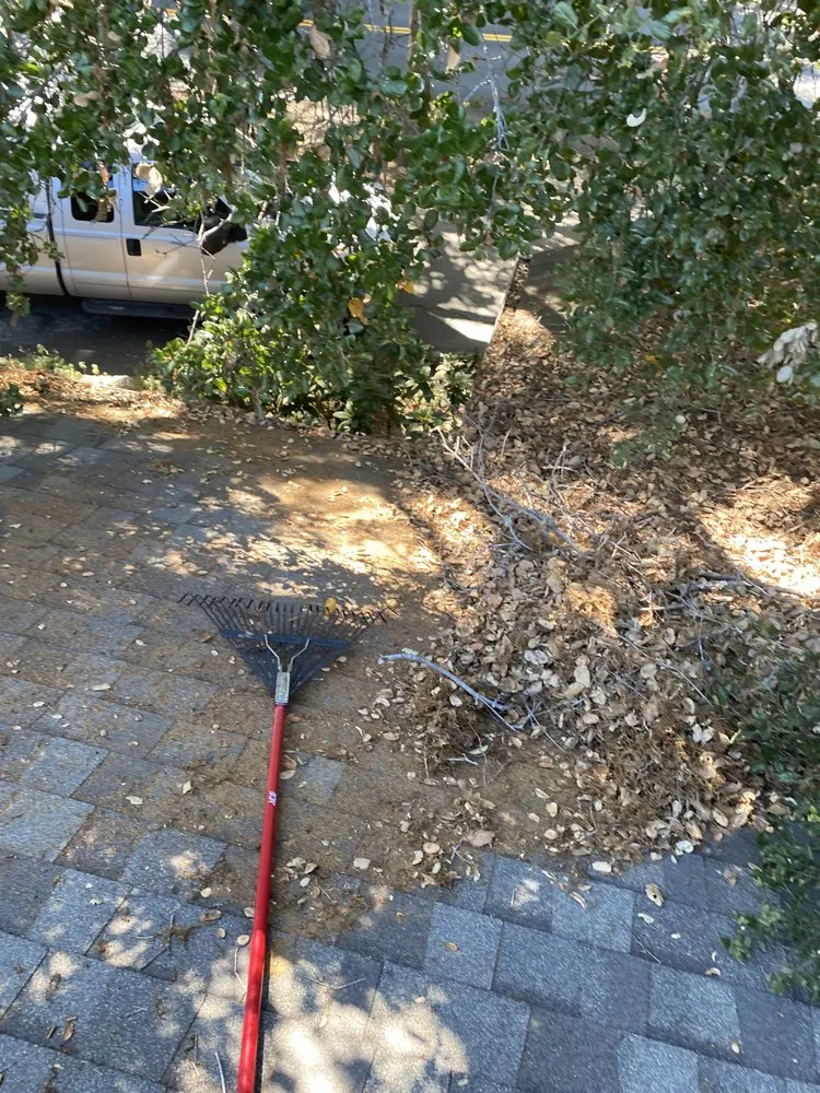 Expert yard cleanup service in Watsonville, CA - La Villita Landscaping