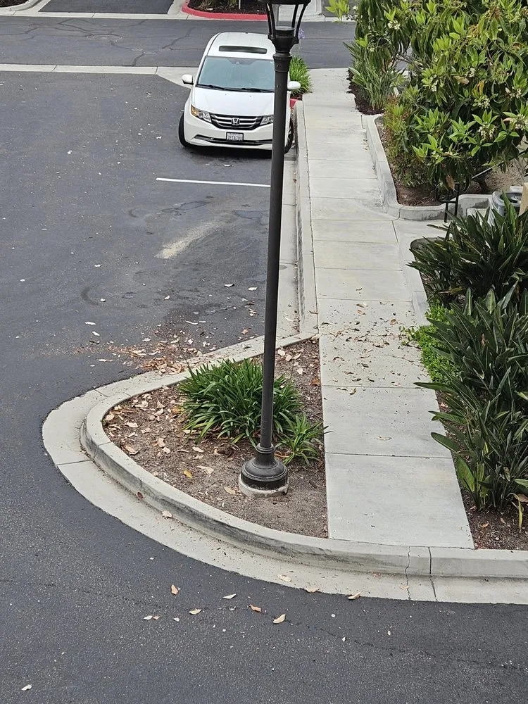 Affordable yard maintenance for beautiful yards across Santee, CA - LaBahn's Landscaping