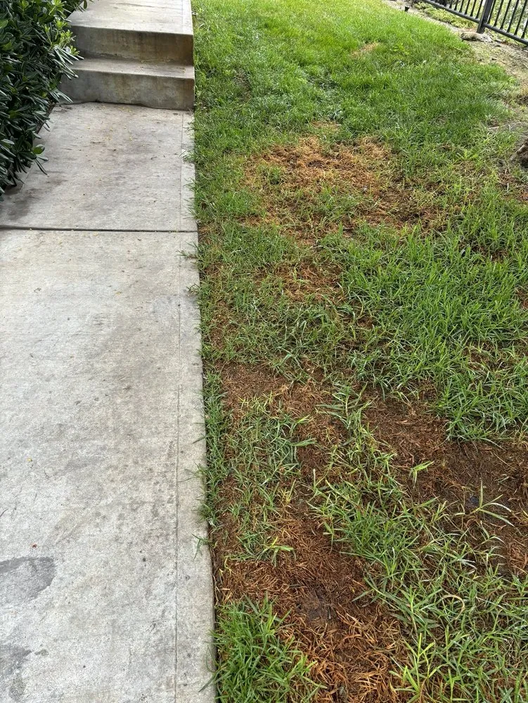 Professional landscape installation in Santee, CA by LaBahn's Landscaping