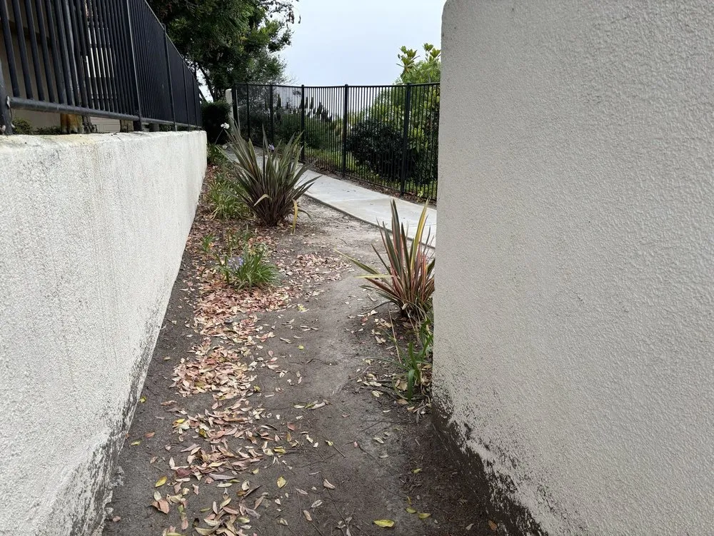 Local yard maintenance experts serving Santee, CA - LaBahn's Landscaping