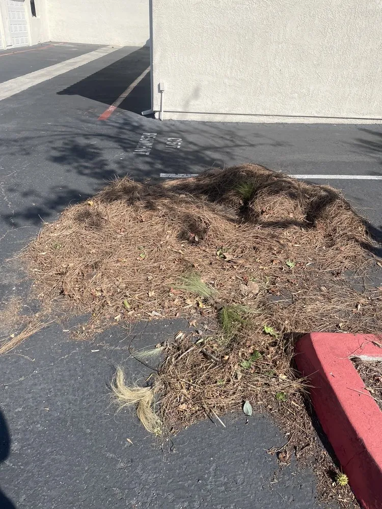 Affordable landscape design in Santee, CA by LaBahn's Landscaping