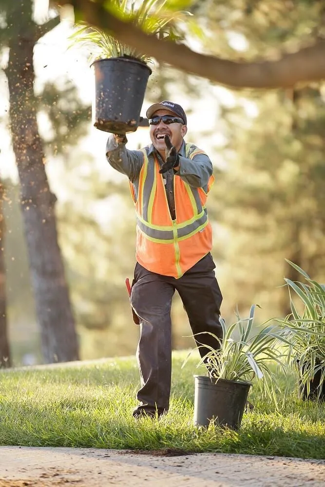 Reliable lawn mowing service in Santee, CA by LaBahn's Landscaping