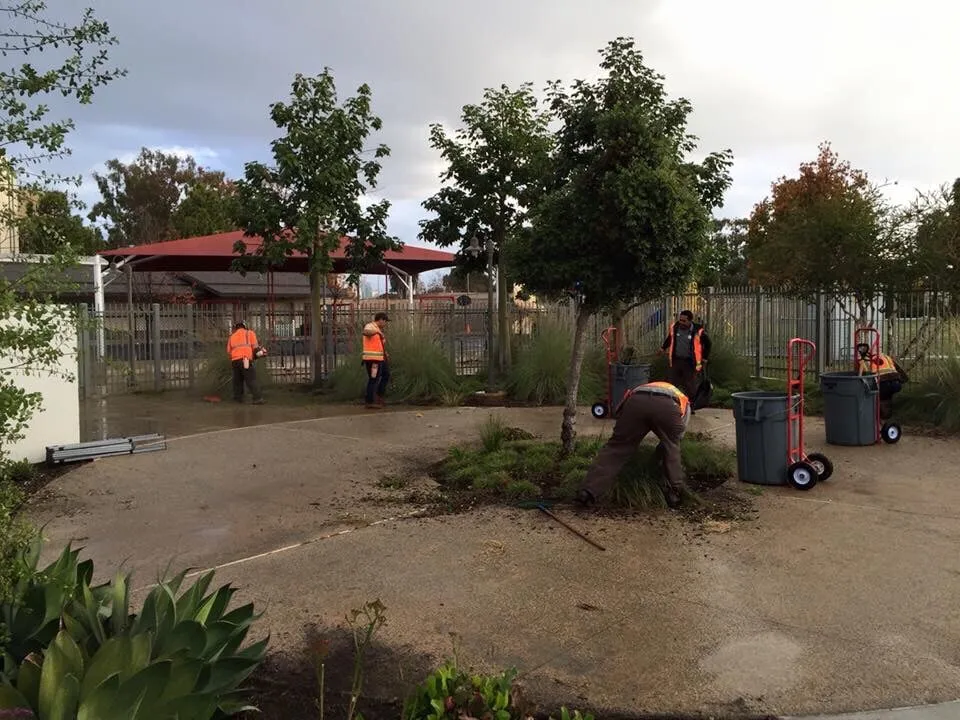 Reliable landscape design near you in Santee, CA by LaBahn's Landscaping