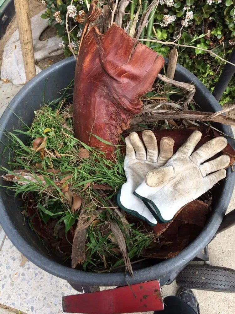 Custom lawn care service near you across Santee, CA - LaBahn's Landscaping