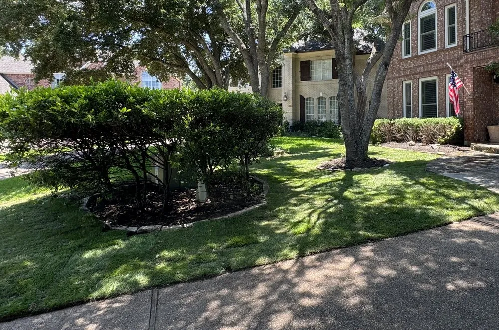 Affordable lawn care service for beautiful yards across Georgetown, TX - Labay Landscaping