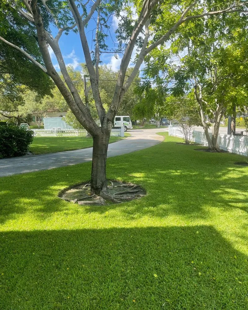Expert yard maintenance for beautiful yards in North Miami Beach, FL by Labelle Kreyol Landscaping