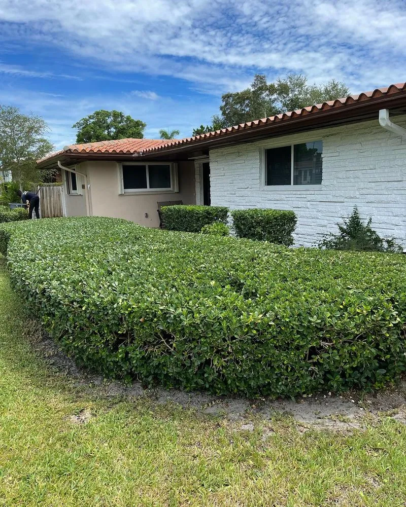 Trusted lawn care service with custom design across North Miami Beach, FL - Labelle Kreyol Landscaping