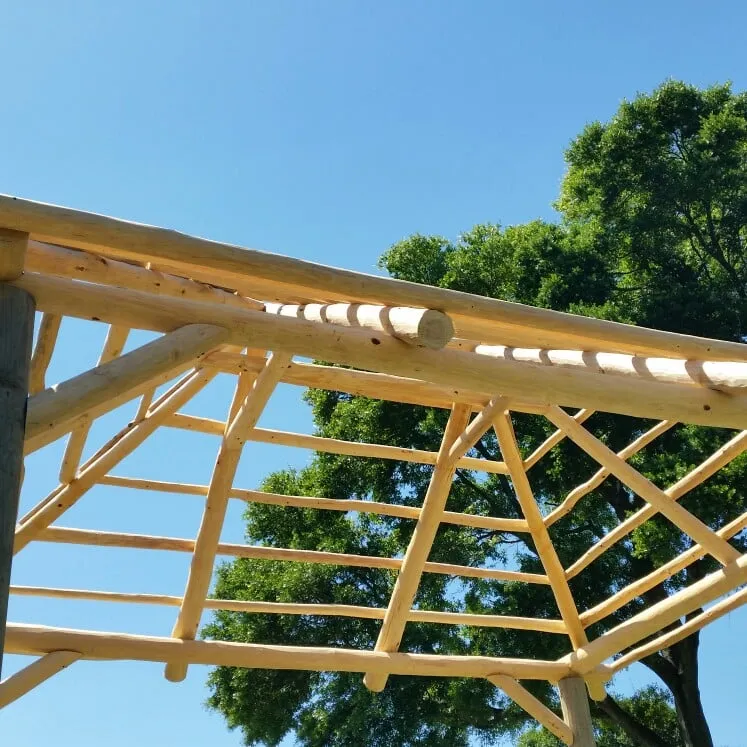 Top-rated lawn mowing service in Labelle, FL - labelle lawn care