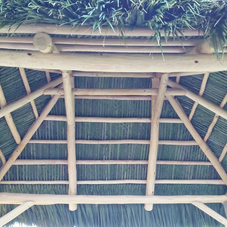 Expert landscape design in Labelle, FL by labelle lawn care