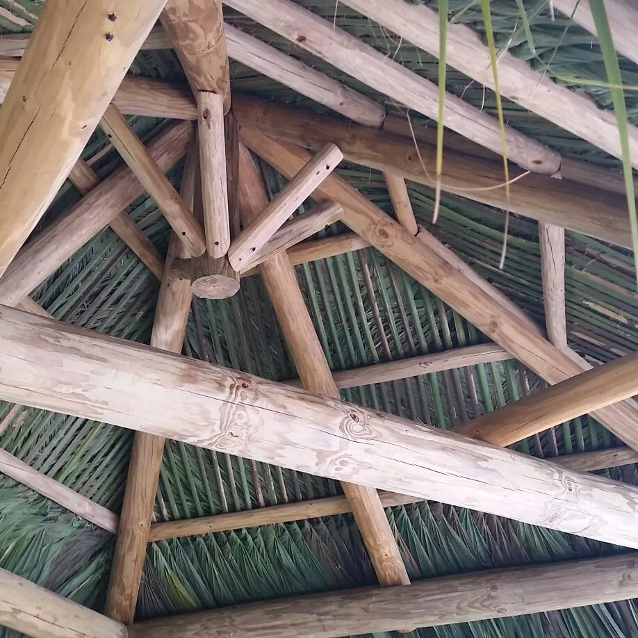 Local residential landscaping in Labelle, FL - labelle lawn care