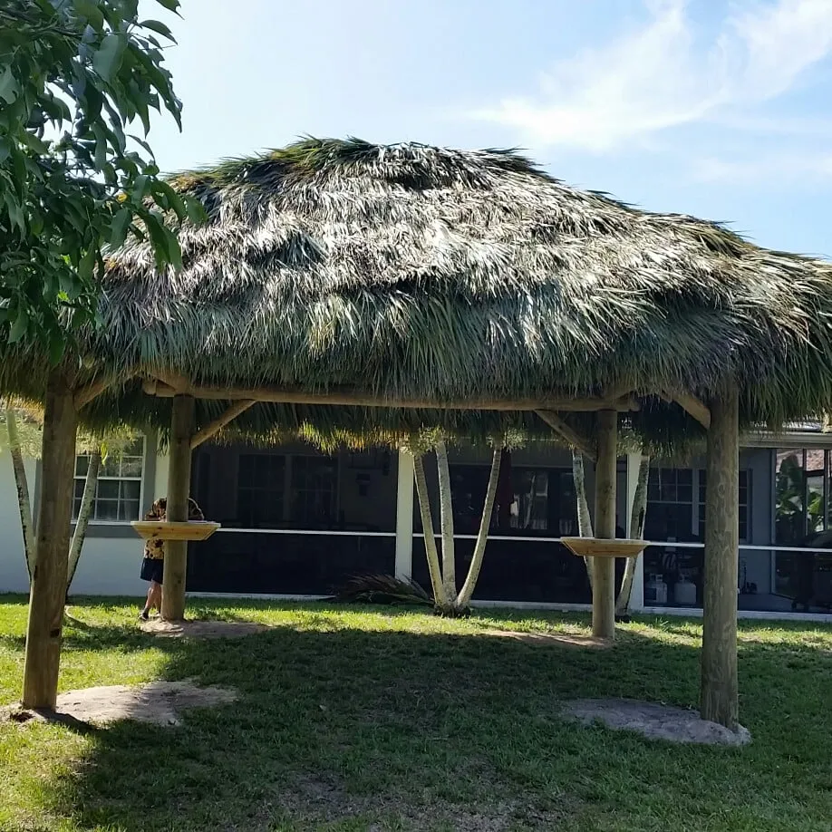 Local landscape design experts serving Labelle, FL - labelle lawn care