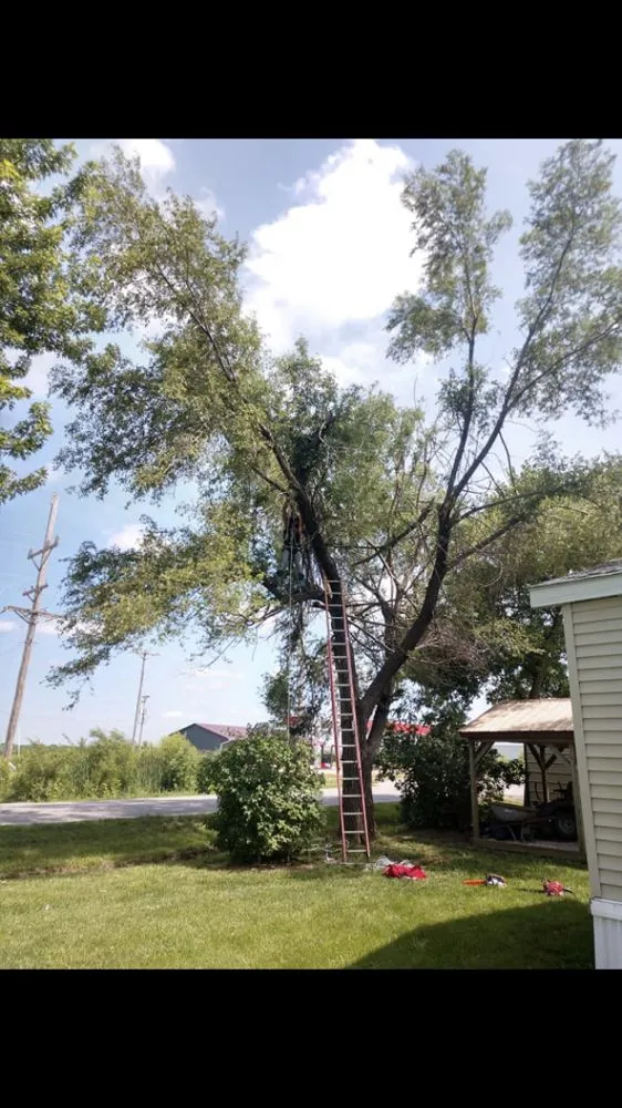 Reliable outdoor landscaping in Pleasant Hill, MO - Labor-Less