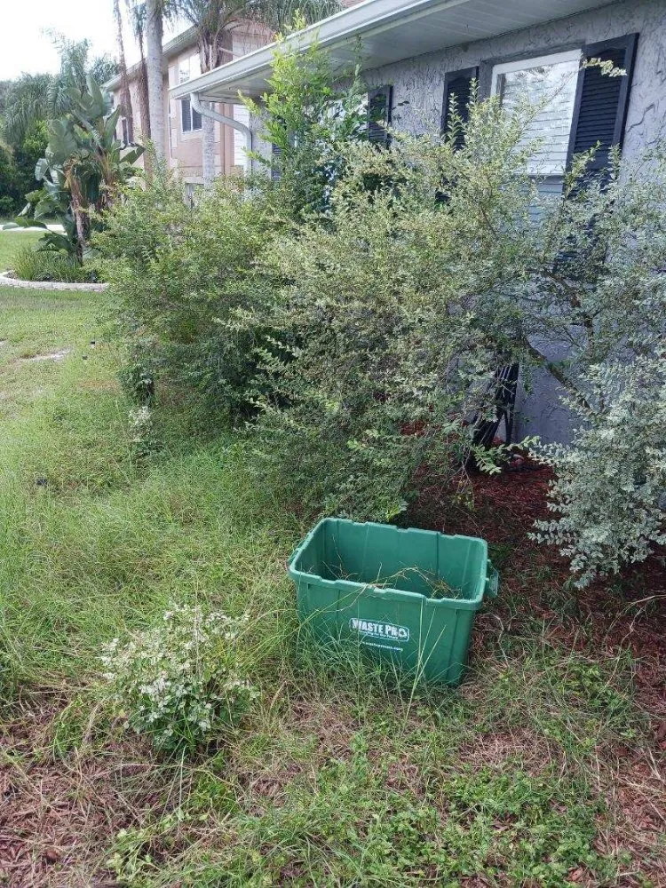 Local outdoor landscaping in Deltona, FL by Labor of Love