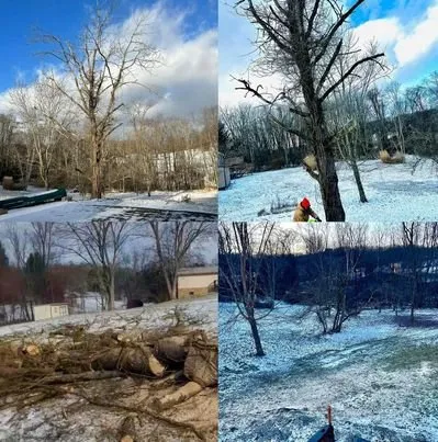 Professional lawn care service for year-round maintenance in New Kensington, PA by Laborholics