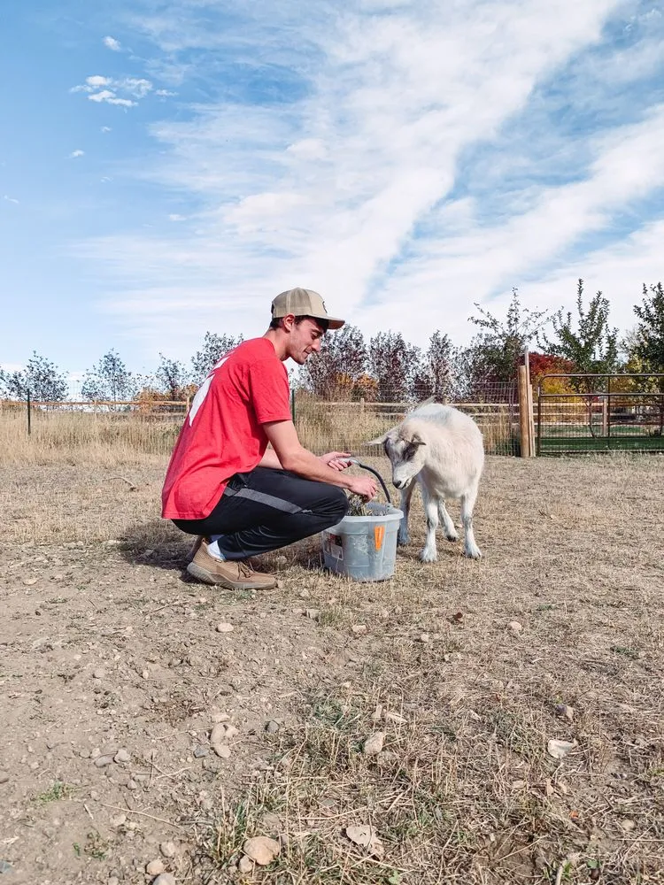 Top-rated residential landscaping in Colorado Springs, CO by Laborjack