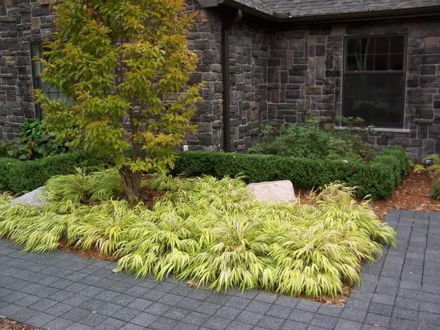 Expert garden landscaping experts serving Olympia, WA - LaBouff Landscape
