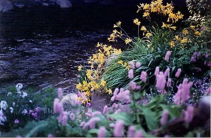 Reliable yard maintenance in Glover, VT by Labour of Love Landscaping & Nursery