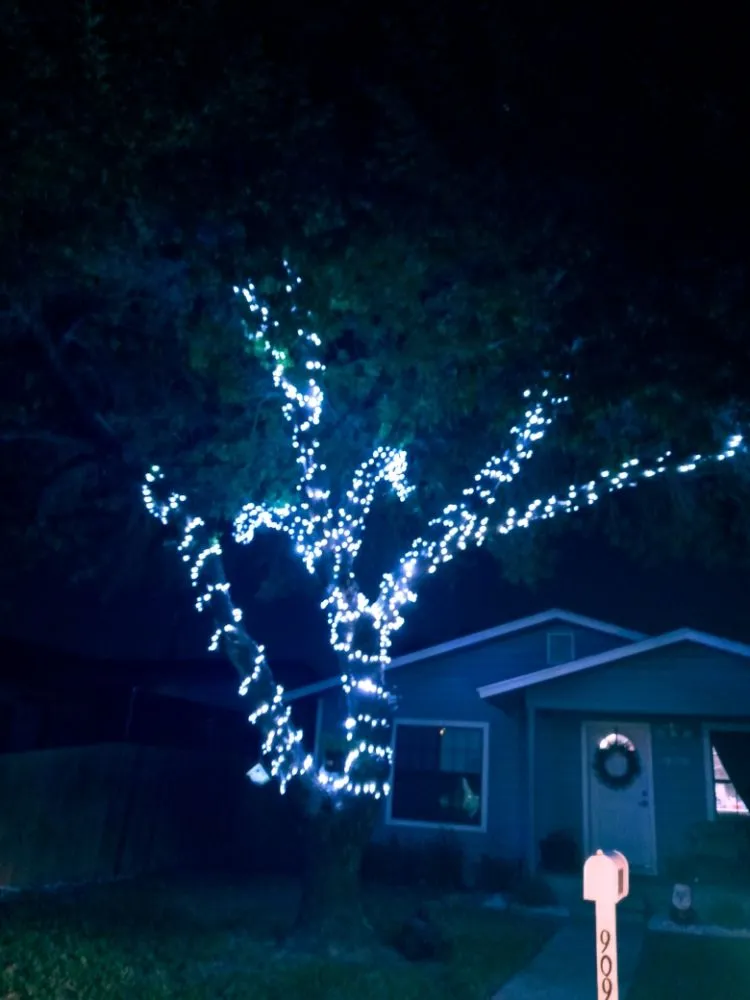 Expert residential landscaping in Weslaco, TX by Labra & Son's Gardens