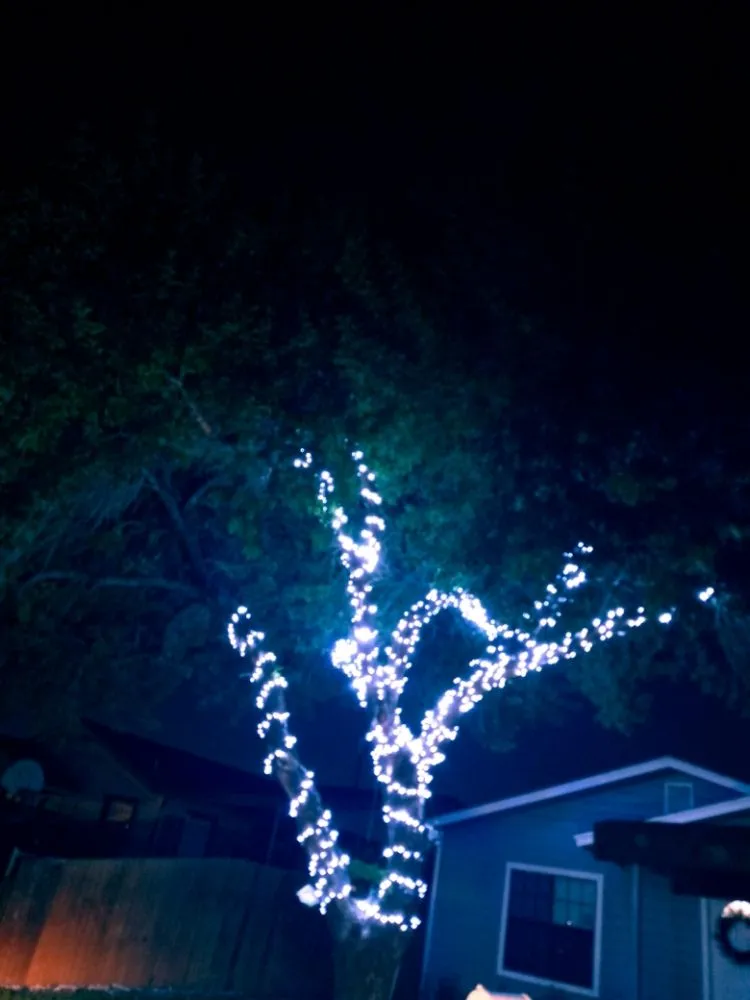 Trusted lawn mowing service experts serving Weslaco, TX - Labra & Son's Gardens