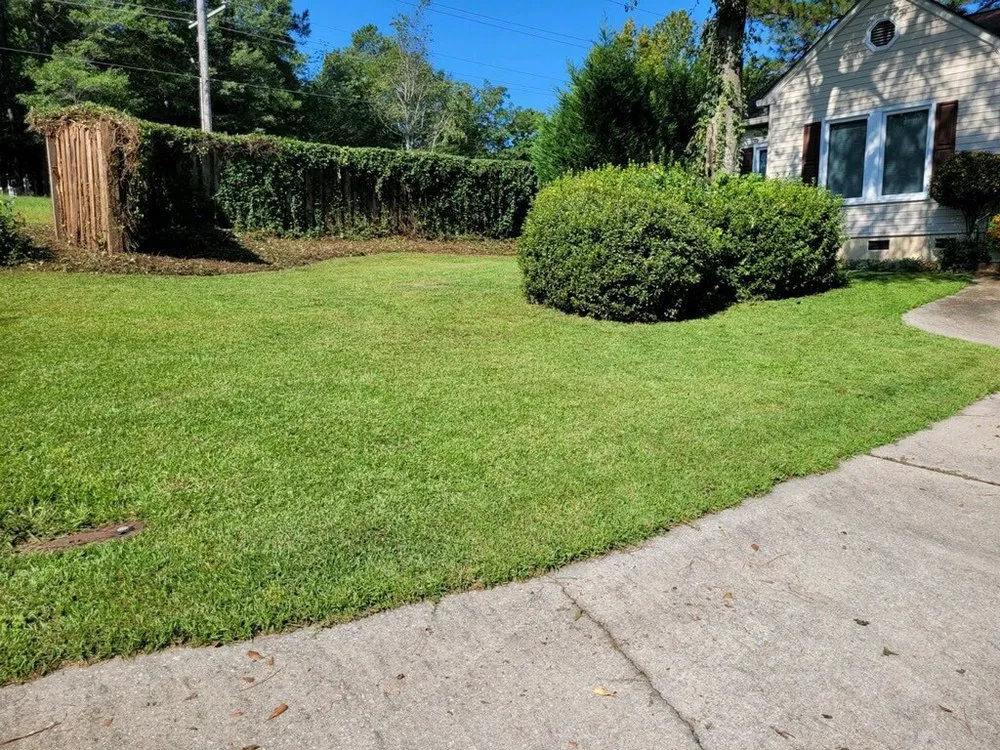 Professional landscaping services for beautiful yards in New Ellenton, SC by Labra Landscaping