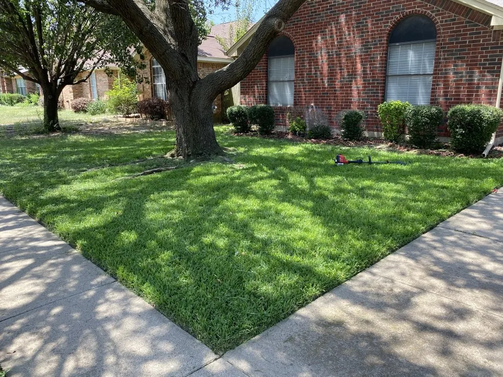 Trusted lawn care service experts serving Richardson, TX - Labradas Landscape