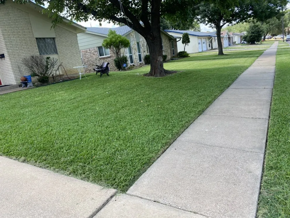 Local yard cleanup service in Richardson, TX - Labradas Landscape