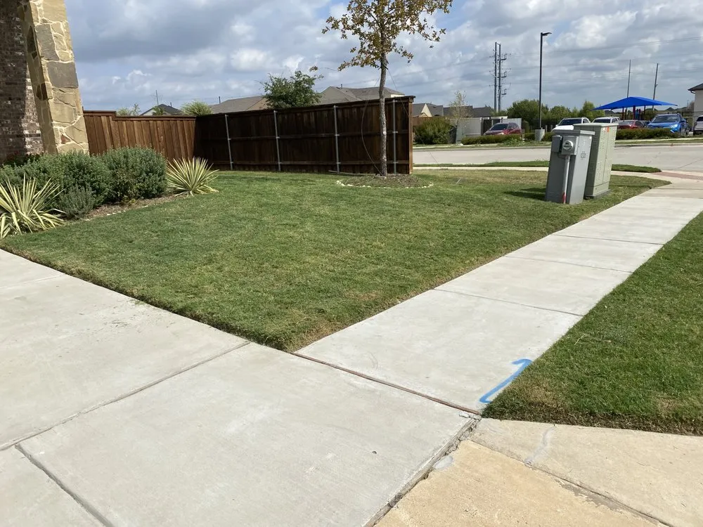 Top-rated garden landscaping for beautiful yards across Richardson, TX - Labradas Landscape