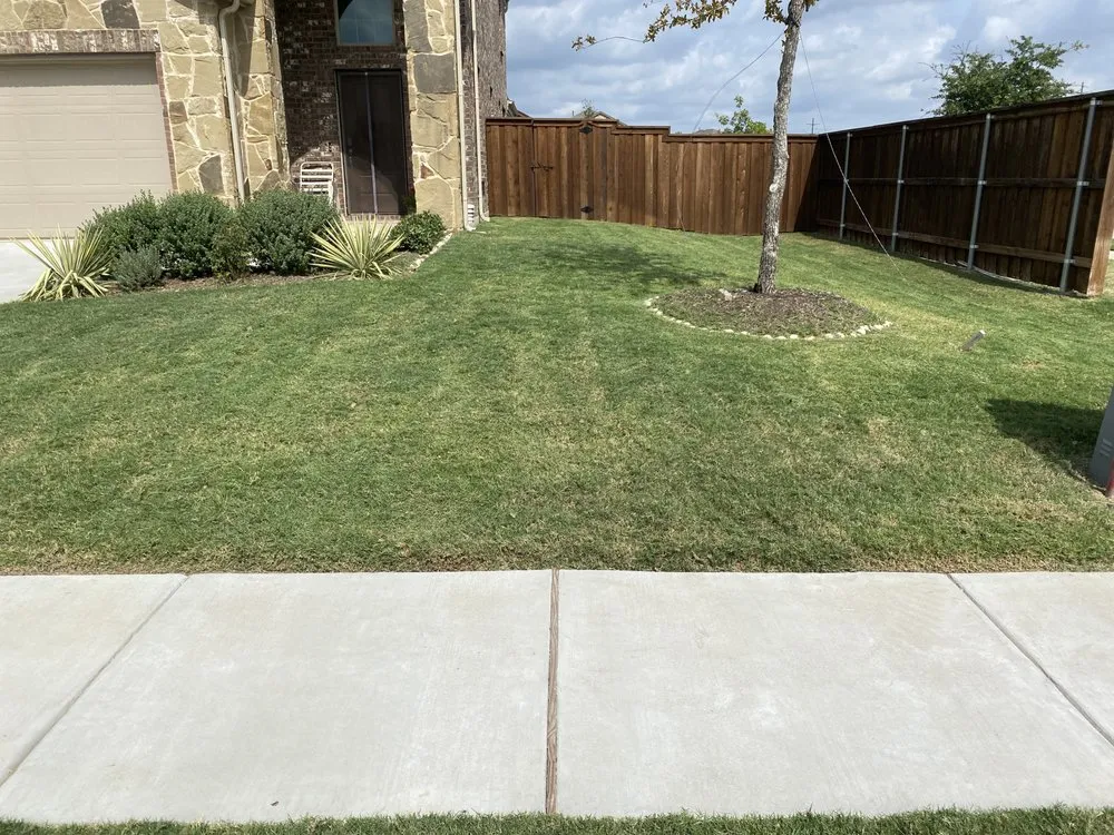 Custom yard cleanup service experts serving Richardson, TX - Labradas Landscape
