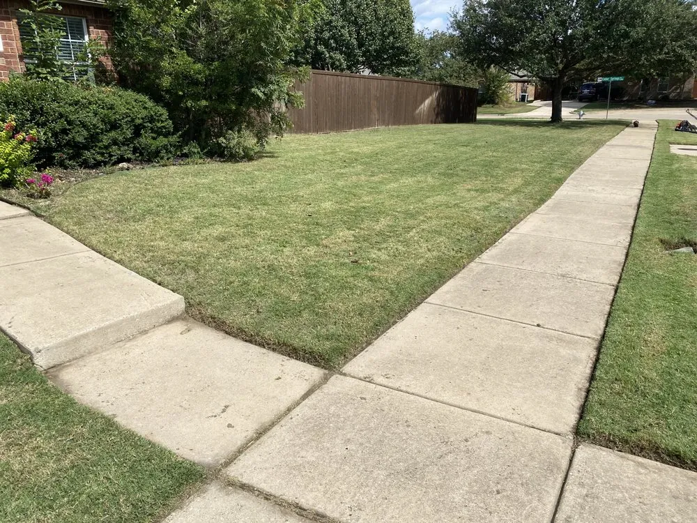 Trusted yard cleanup service experts serving Richardson, TX - Labradas Landscape