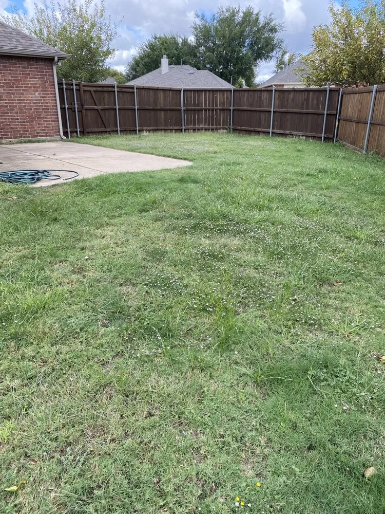 Top-rated lawn care service with custom design across Richardson, TX - Labradas Landscape