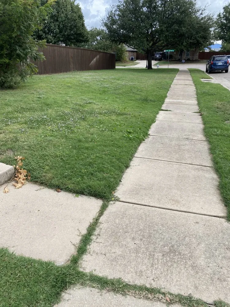 Reliable landscape design in Richardson, TX - Labradas Landscape