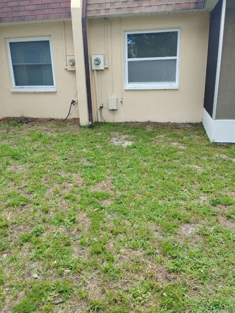 Custom landscaping services in Largo, FL by Labrador Lawn Care and Mulch