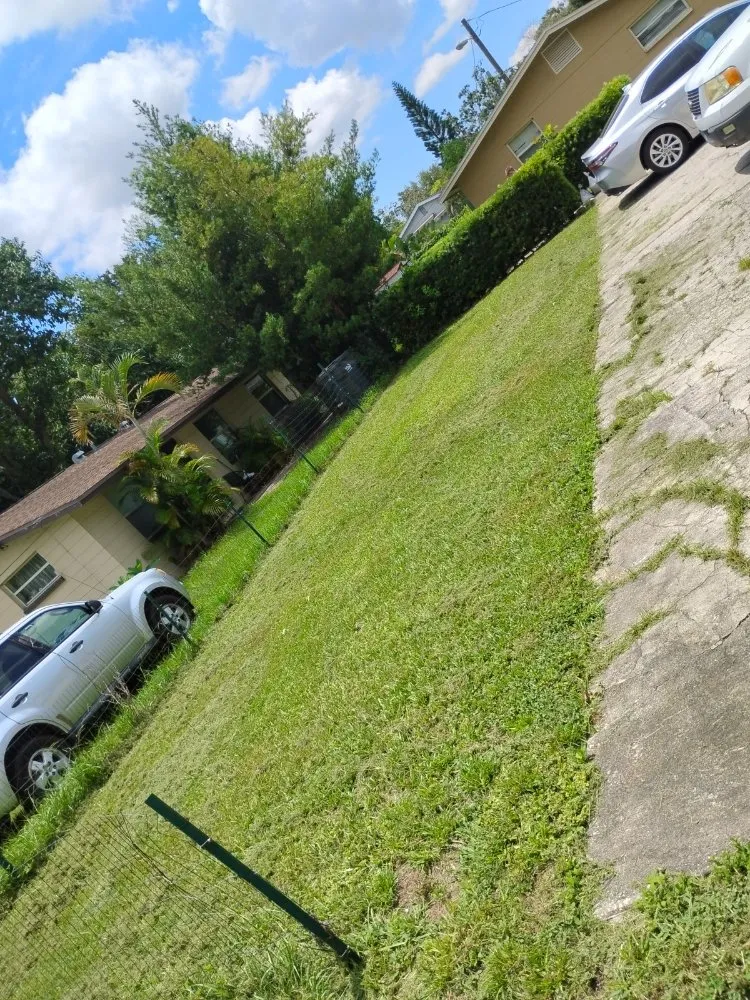 Affordable yard maintenance experts serving Largo, FL - Labrador Lawn Care and Mulch