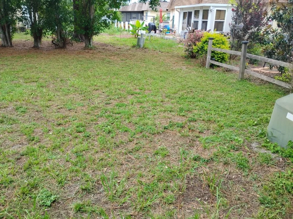 Expert landscape design in Largo, FL - Labrador Lawn Care and Mulch