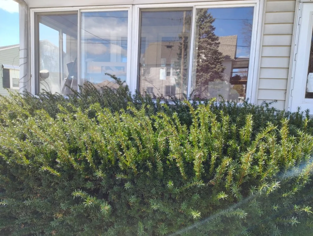 Reliable outdoor landscaping in Chicopee, MA - Labrecque's Lawns & Landscape