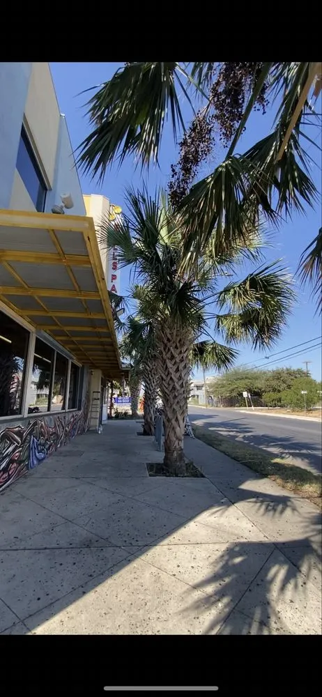 Custom garden landscaping near you in San Antonio, TX by Labyrinth logistics