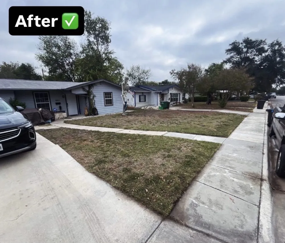 Expert residential landscaping for beautiful yards across San Antonio, TX - Labyrinth logistics