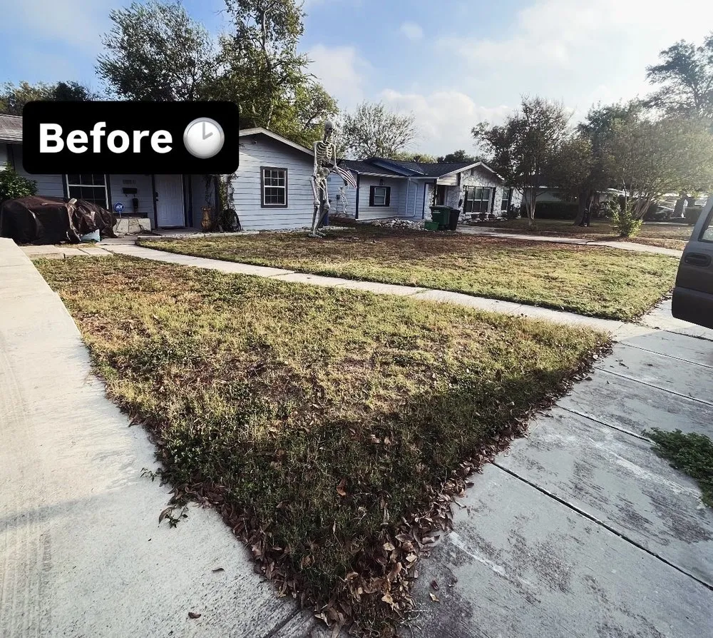 Expert yard maintenance in San Antonio, TX by Labyrinth logistics