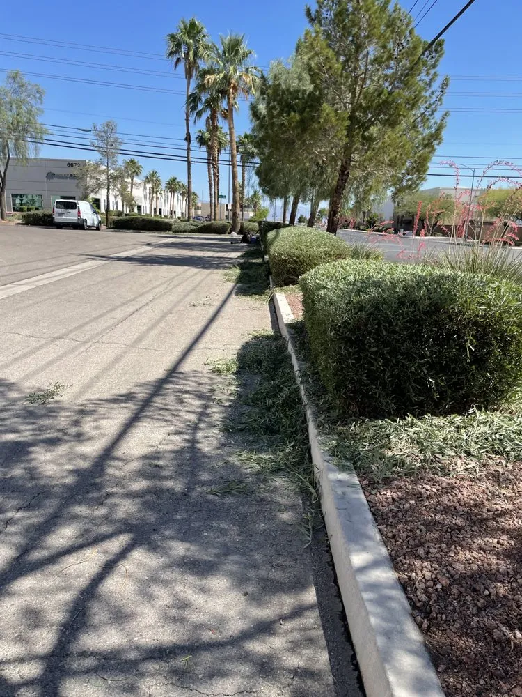 Local landscape installation for year-round maintenance across Las Vegas, NV - LAC Landscaping & Lawn Care