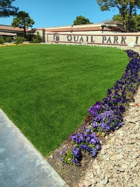 Local outdoor landscaping for residential properties in Las Vegas, NV by LAC Landscaping & Lawn Care
