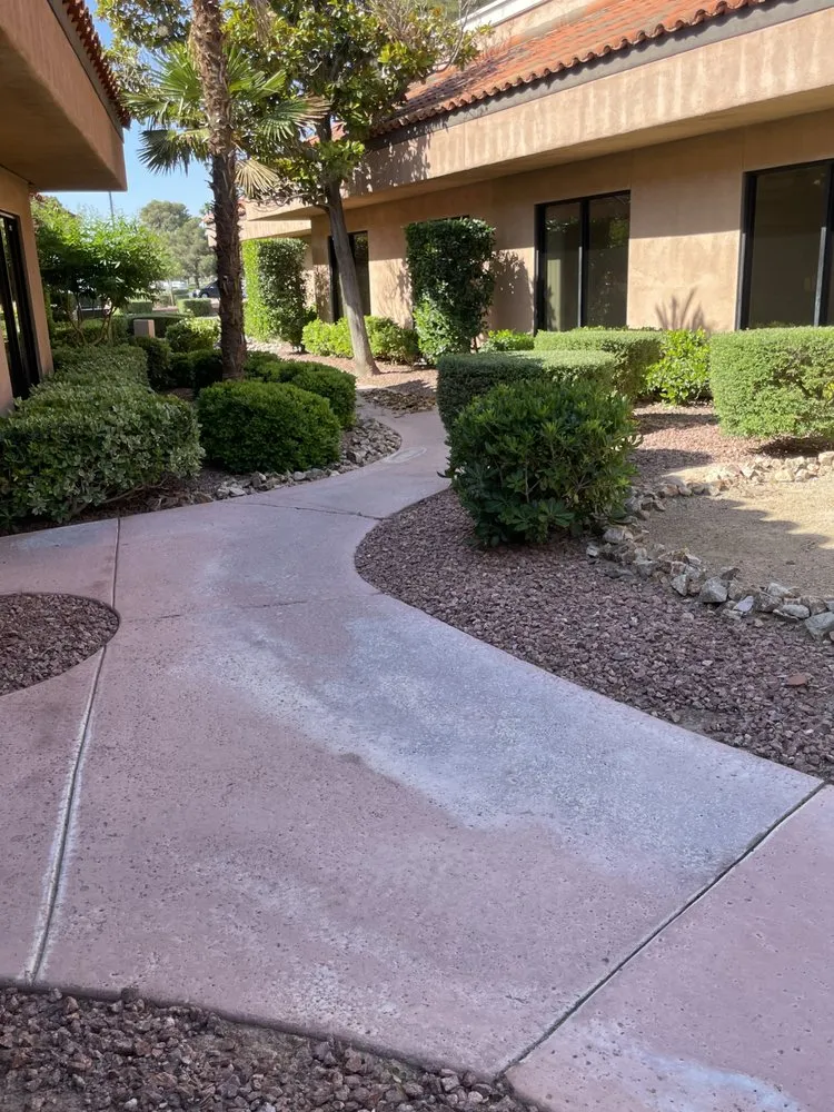 Professional yard cleanup service experts serving Las Vegas, NV - LAC Landscaping & Lawn Care