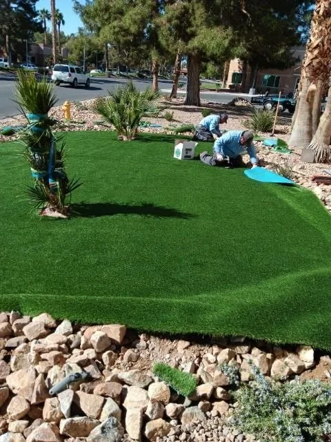 Affordable yard maintenance experts serving Las Vegas, NV - LAC Landscaping & Lawn Care