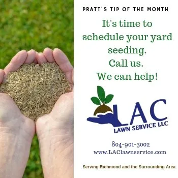 Trusted lawn care service in Richmond, VA by LAC Lawn Service