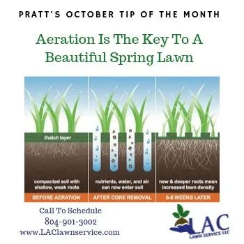 Trusted landscaping services for beautiful yards in Richmond, VA by LAC Lawn Service