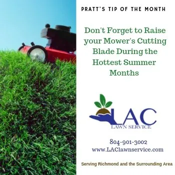 Reliable garden landscaping for homes across Richmond, VA - LAC Lawn Service