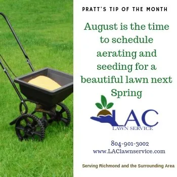 Professional residential landscaping for outdoor upgrades in Richmond, VA by LAC Lawn Service