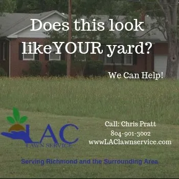 Local residential landscaping in Richmond, VA by LAC Lawn Service