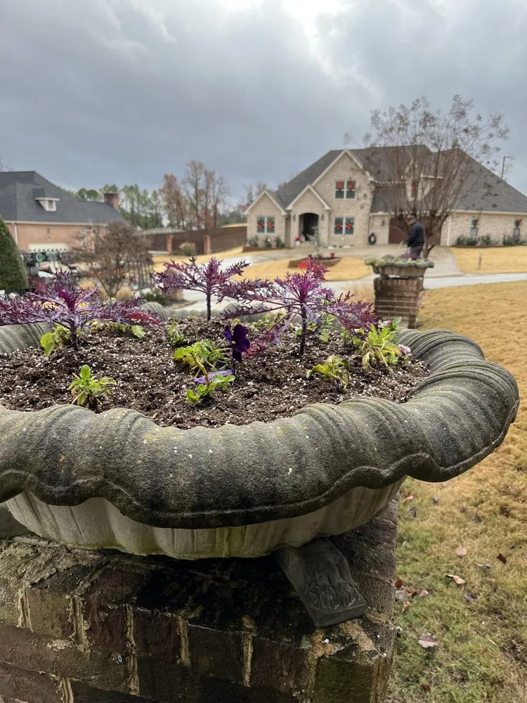 Expert yard maintenance in Paragould, AR - Lacey Lawn and Construction